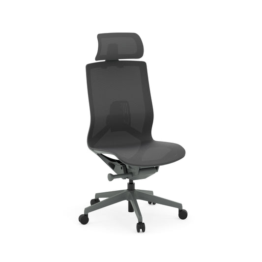 Atlas II Medium Back Chair with Headrest - Armless - Dark Gray - 9811GRYDGRY & 981HRDGRY